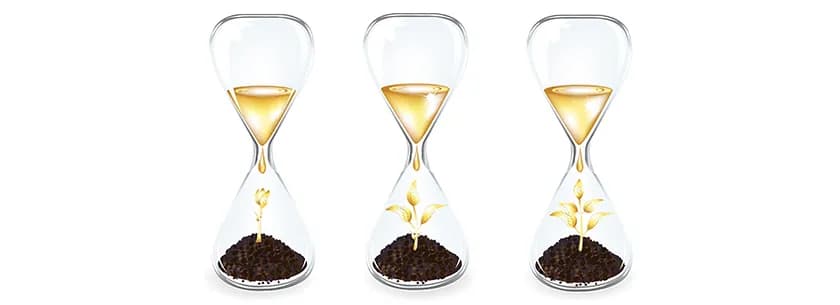 Balanced Funds: A Mixture of Capital Appreciation and Safety