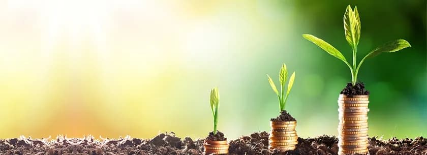 Best Sector Funds to Invest in 2016