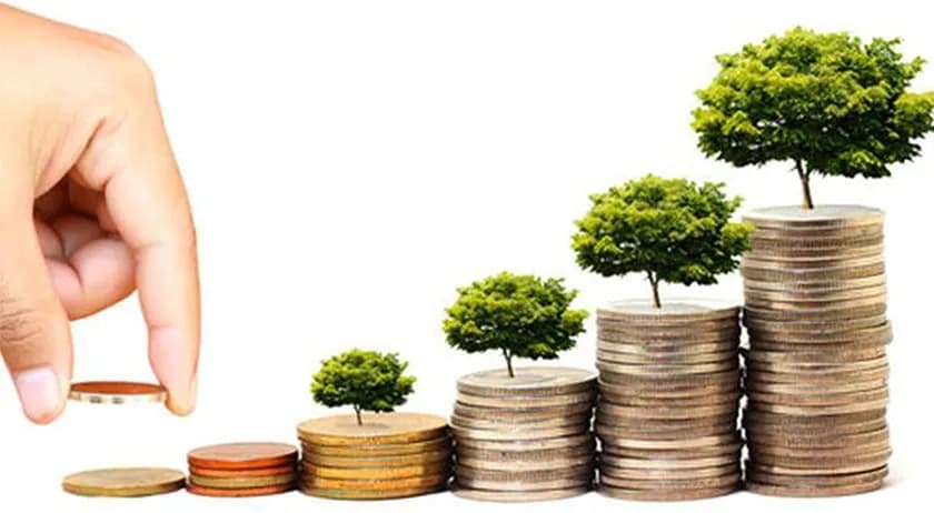 Best Small Cap Funds - 2016