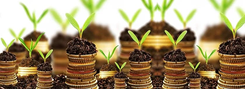 Who Should Consider Investing in the Liquid Funds?