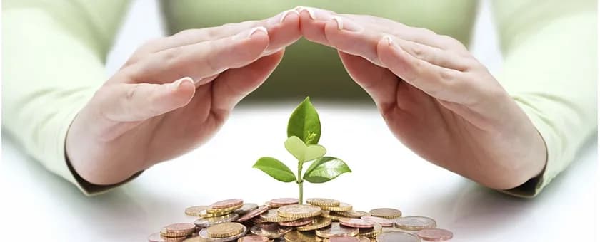 Itâ€™s the Time to Take Benefit of Small and Mid-Cap Funds