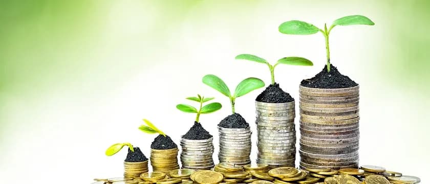 Is It Good to Use the Same Fund For Different Goals?