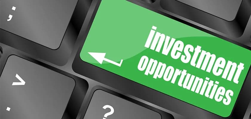 Growth Or Dividend: What Suits Me the Best for Investment?