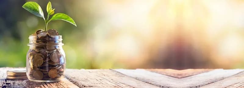 Liquid Funds or Savings Account- Where to Park Money for High Returns?