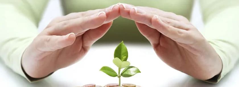 Should One Invest in Small-Cap Funds?