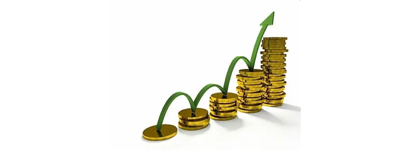 What is meant by - Mutual Funds are subject to market risk?