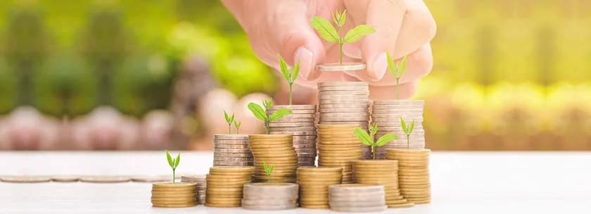How to Build an Effective Mutual Fund Portfolio?