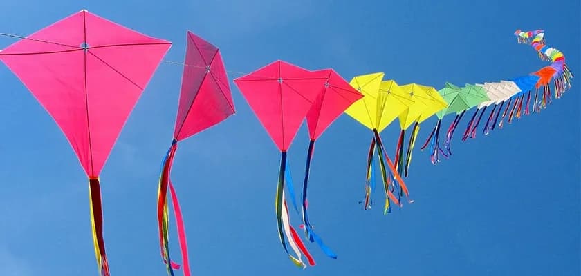 Makar Sankranti- Teaching Mutual Fund Investment Lessons