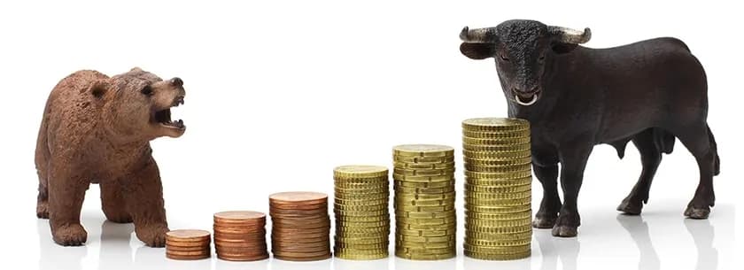 How To Deal Bull & Bear Market with Mutual Funds?