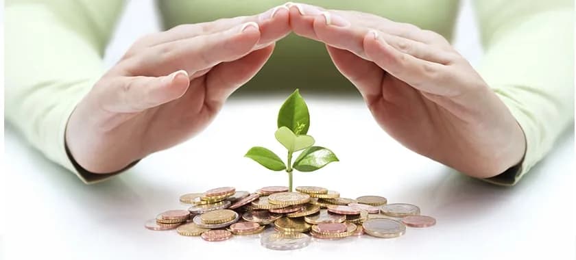 5 Tips for Small-Cap Investments in Mutual Funds
