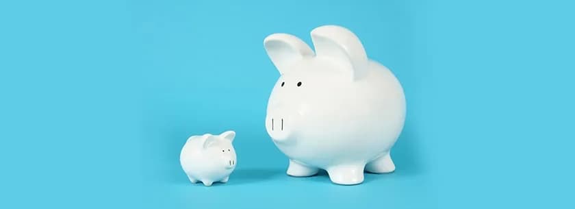 Find Out the Best Trending Small & Mid Cap Funds