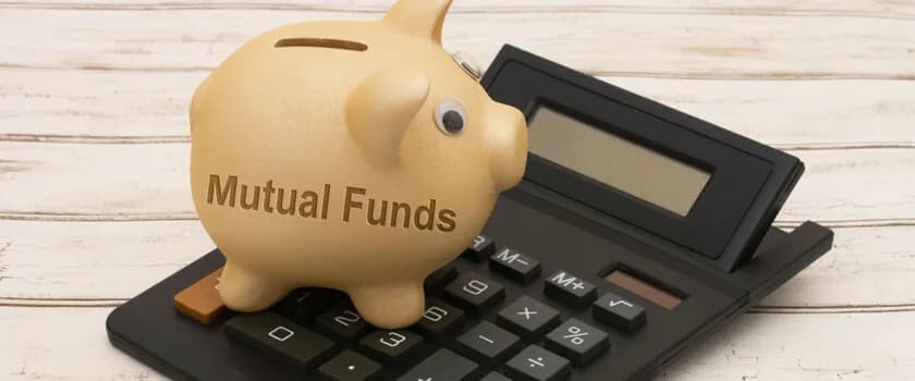How to Choose the Best Liquid Funds for Your Portfolio?