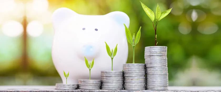 Why Should One Invest in the Equity Mutual Funds?