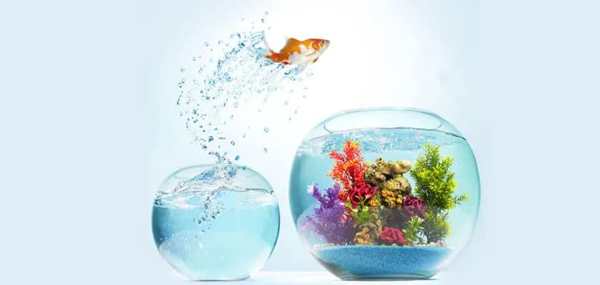 Step Out of Your Comfort Zone to Earn Wealth with Equity Mutual Funds