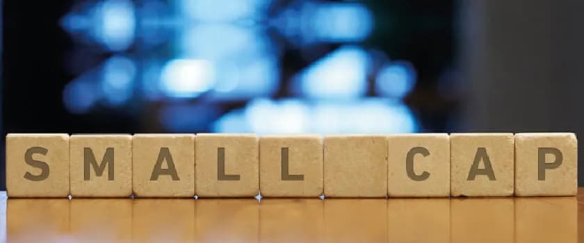 7 Things to Consider Before Investing in Small-Cap Funds