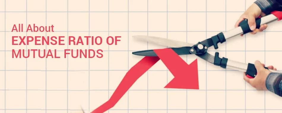 Understanding the Basics of Total Expense Ratio