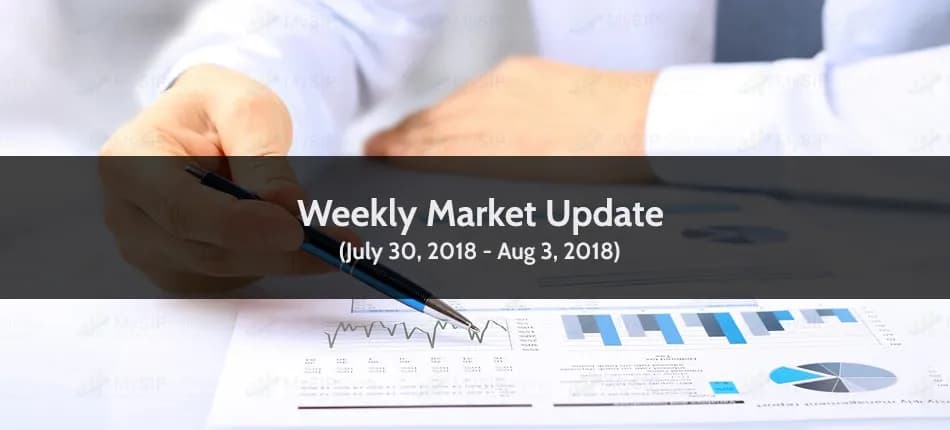 MF Weekly Update: All the Broader Market Indices Traded on a Positive Note
