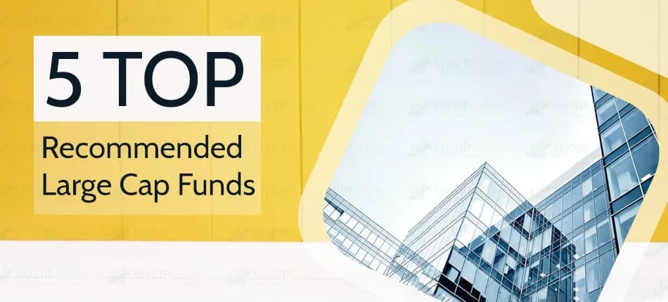 Top 5 Best Large Cap Funds for 8-10 Years