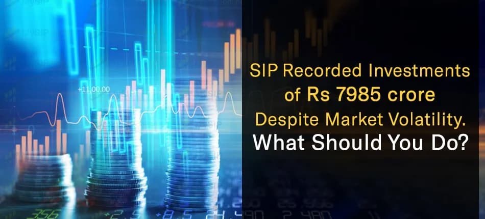 SIP Investments Reached Rs 7985 Crore Despite Market Fluctuations. What Should You Do?