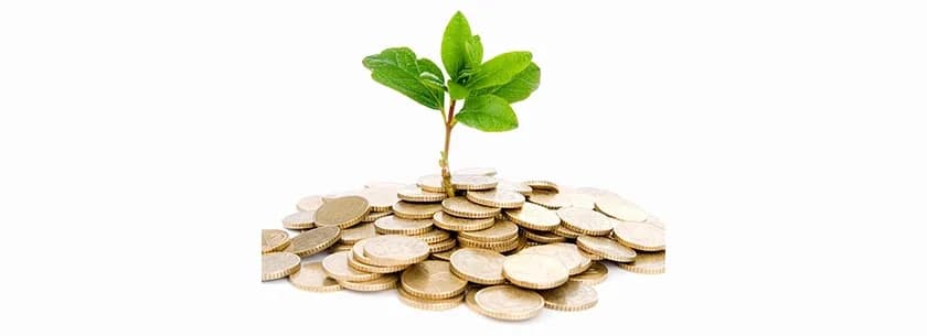 DSP BlackRock Micro Cap Fund: A Plan to Flourish Your Portfolio